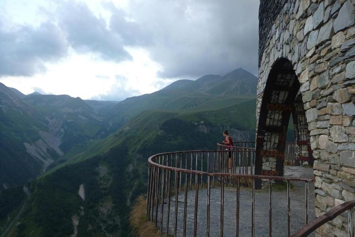 o persoană care stă pe un balcon cu vedere la o vale de munte