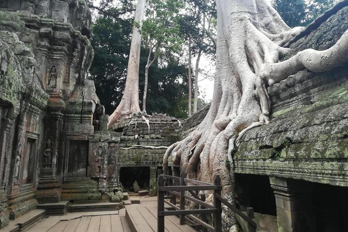 sebuah bangunan dengan pokok-pokok tumbuh di sisinya