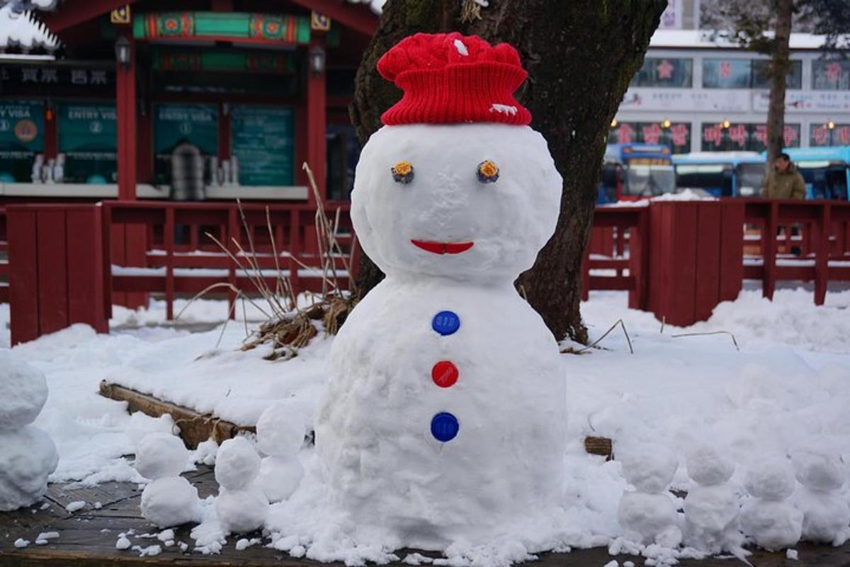 un pupazzo di neve seduto accanto a un albero nella neve