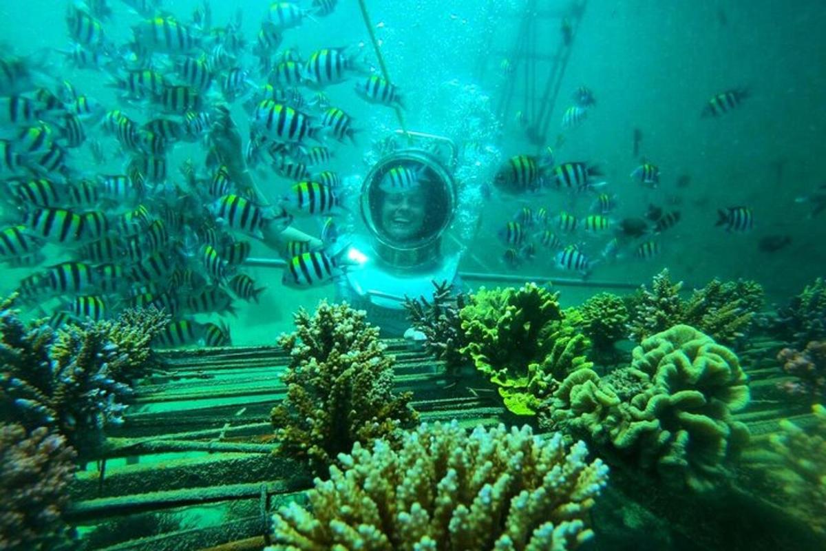 un sub nell'oceano con un banco di pesci