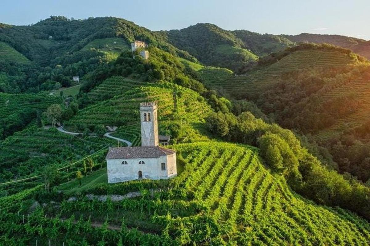 un petit edifici en un turó en una vinya