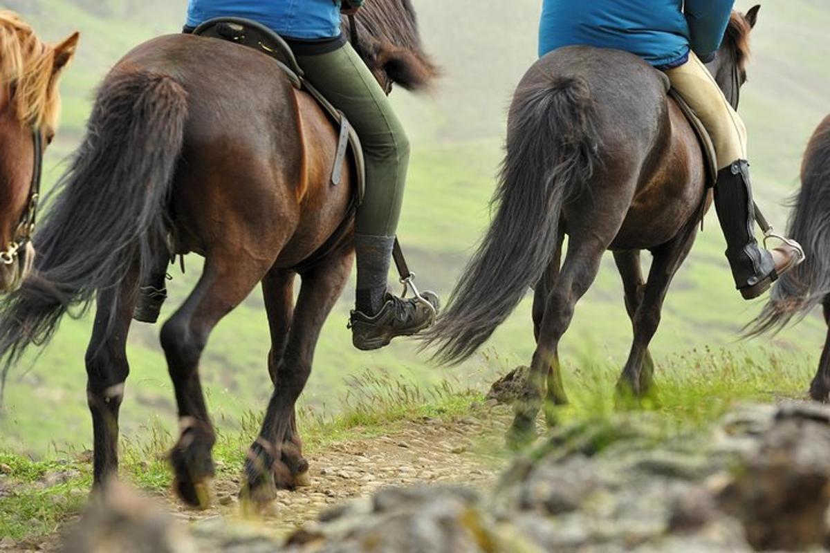 two people riding horses down a dirt road