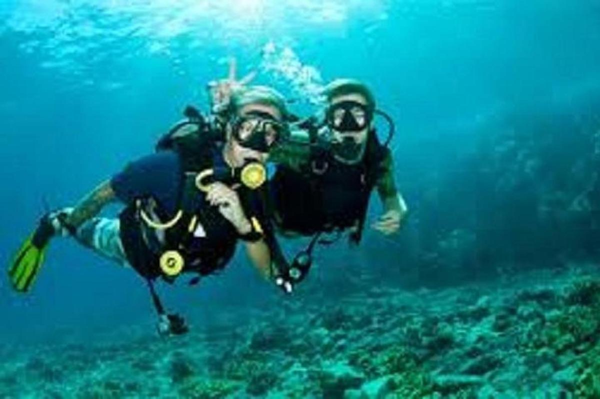 hai người đang lặn biển ở đại dương