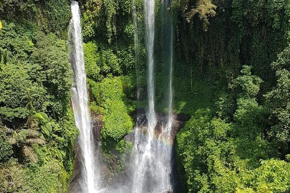 una vista aerea di una cascata in una foresta