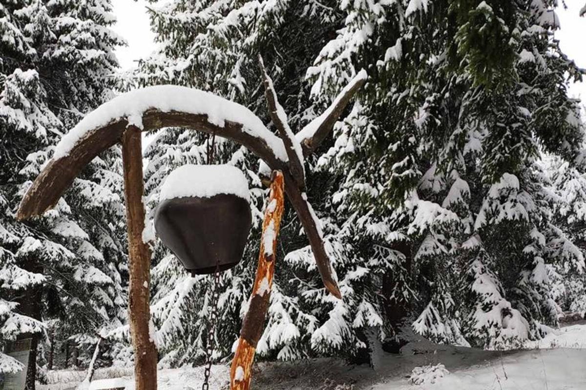 puu kõrval lumega kaetud tänavalatern