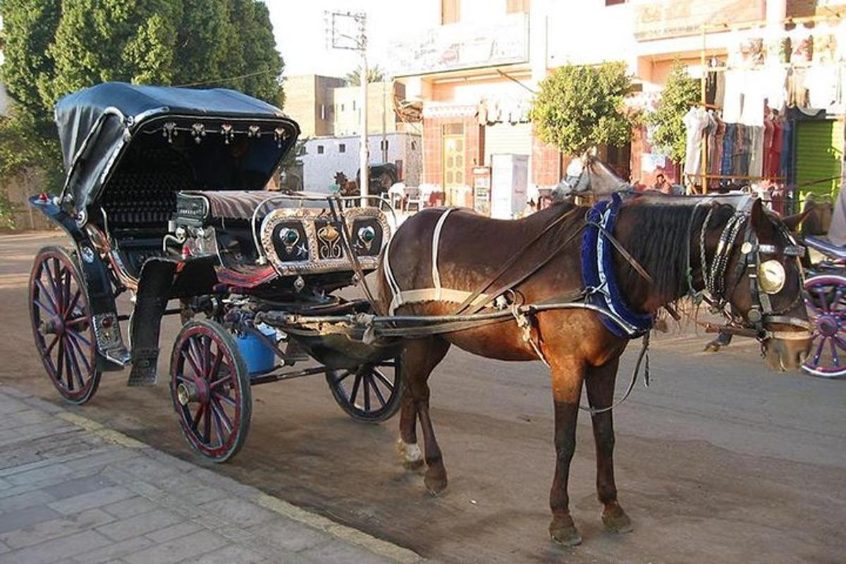 un caballo tirando de un carruaje en una calle de la ciudad