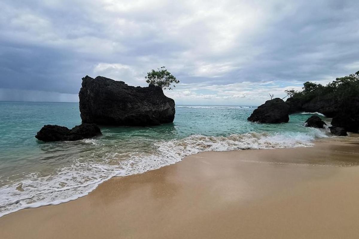 ein Strand mit Felsen im Wasser und einem Baum