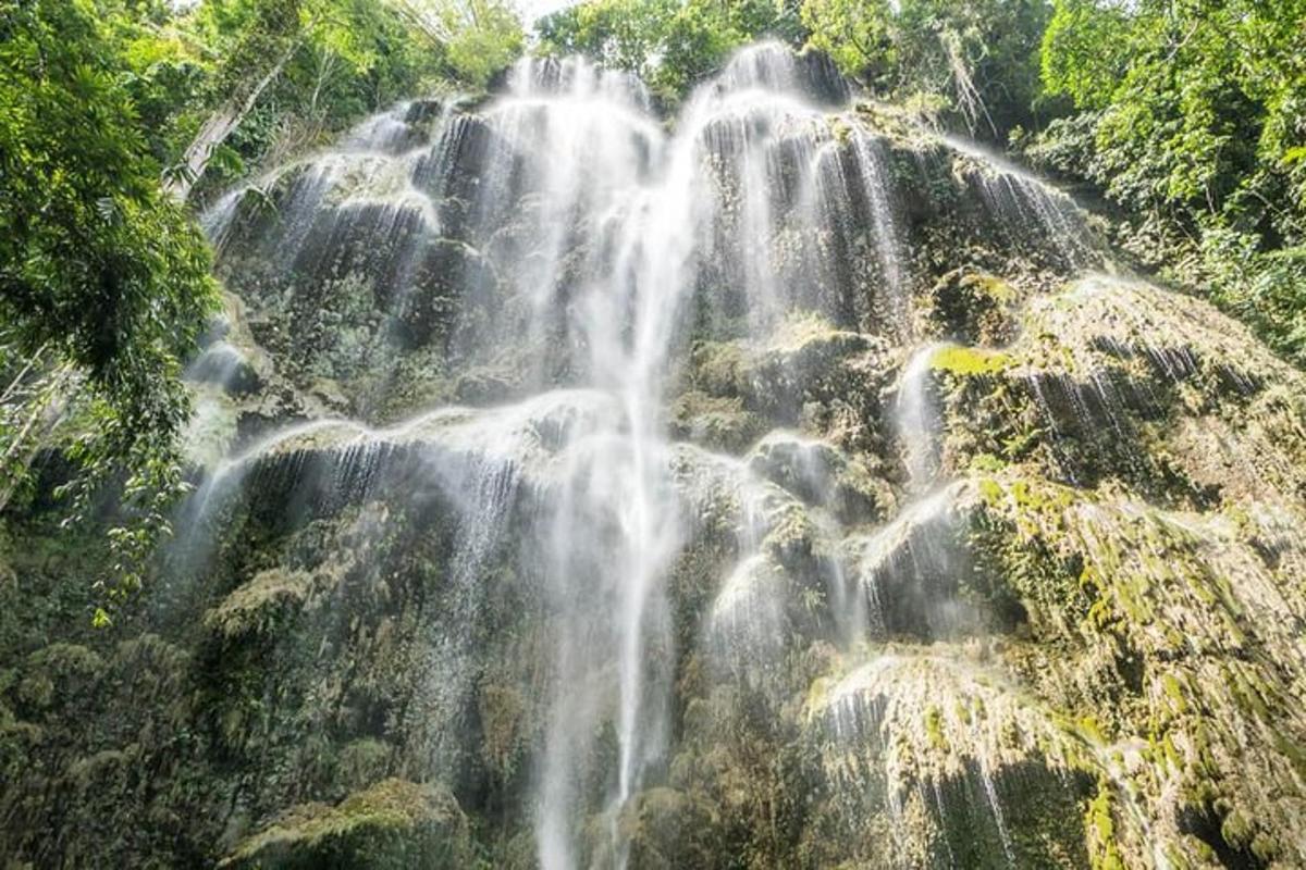 air terjun di tengah-tengah hutan