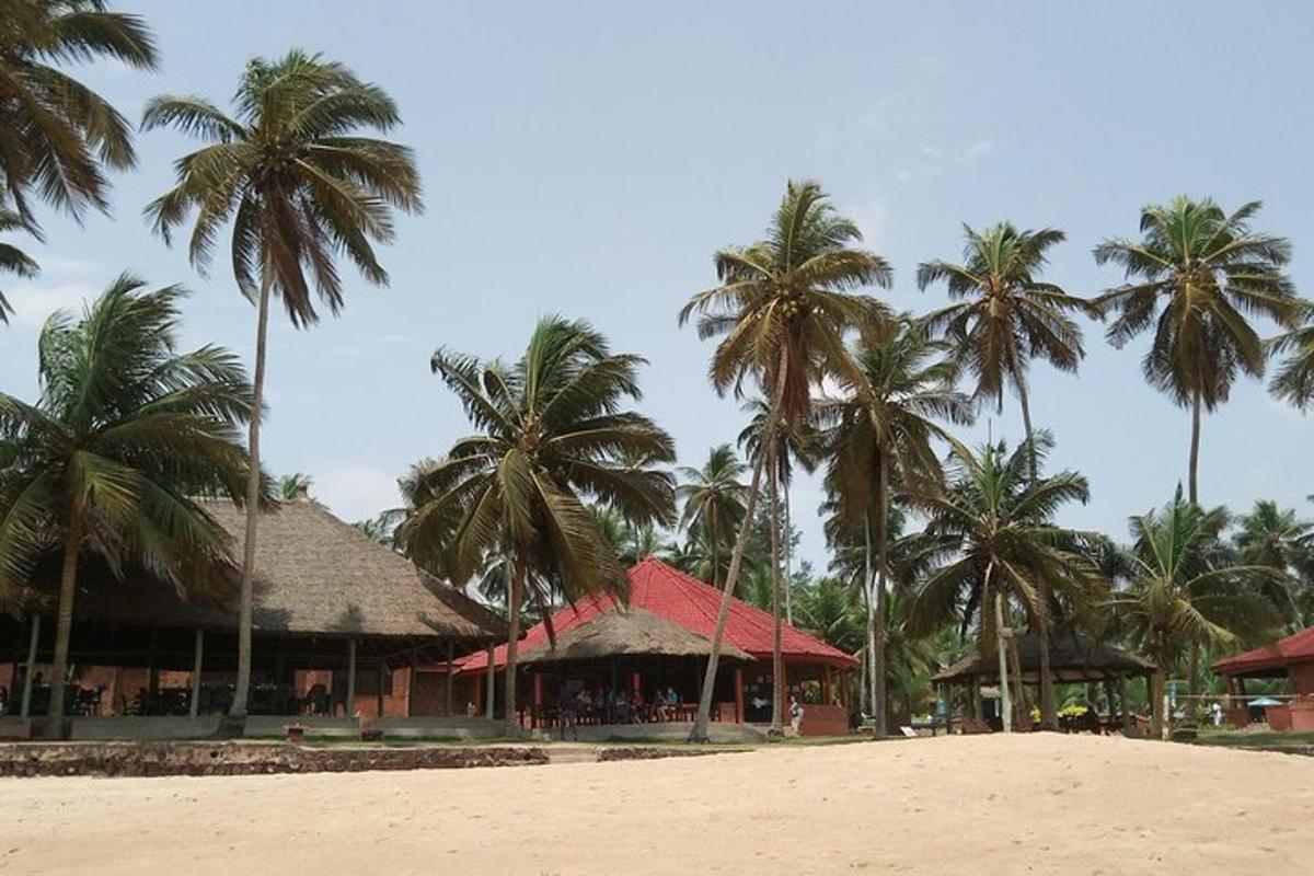 resort dengan pokok palma di pantai
