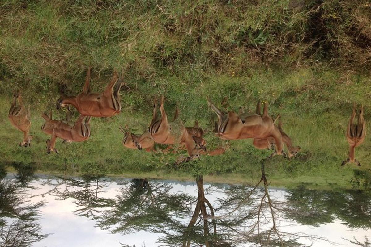 Foto 2 da atração