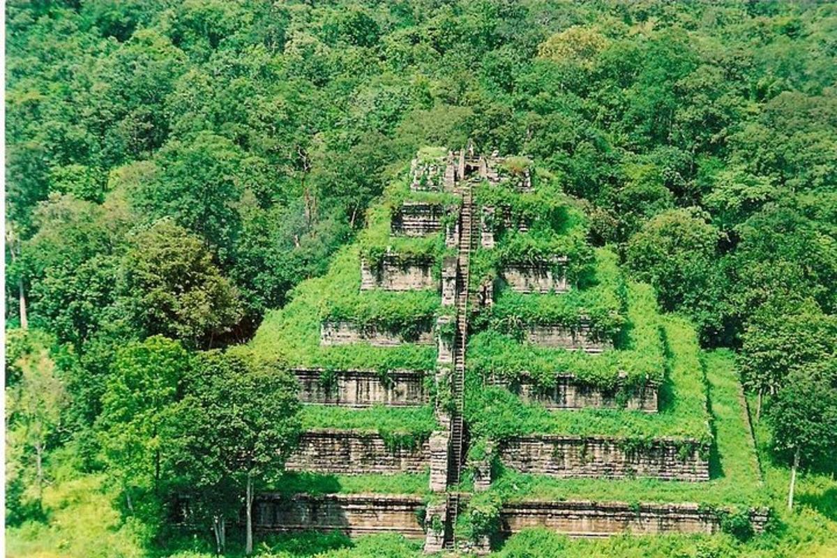 một tòa nhà lớn ở giữa rừng