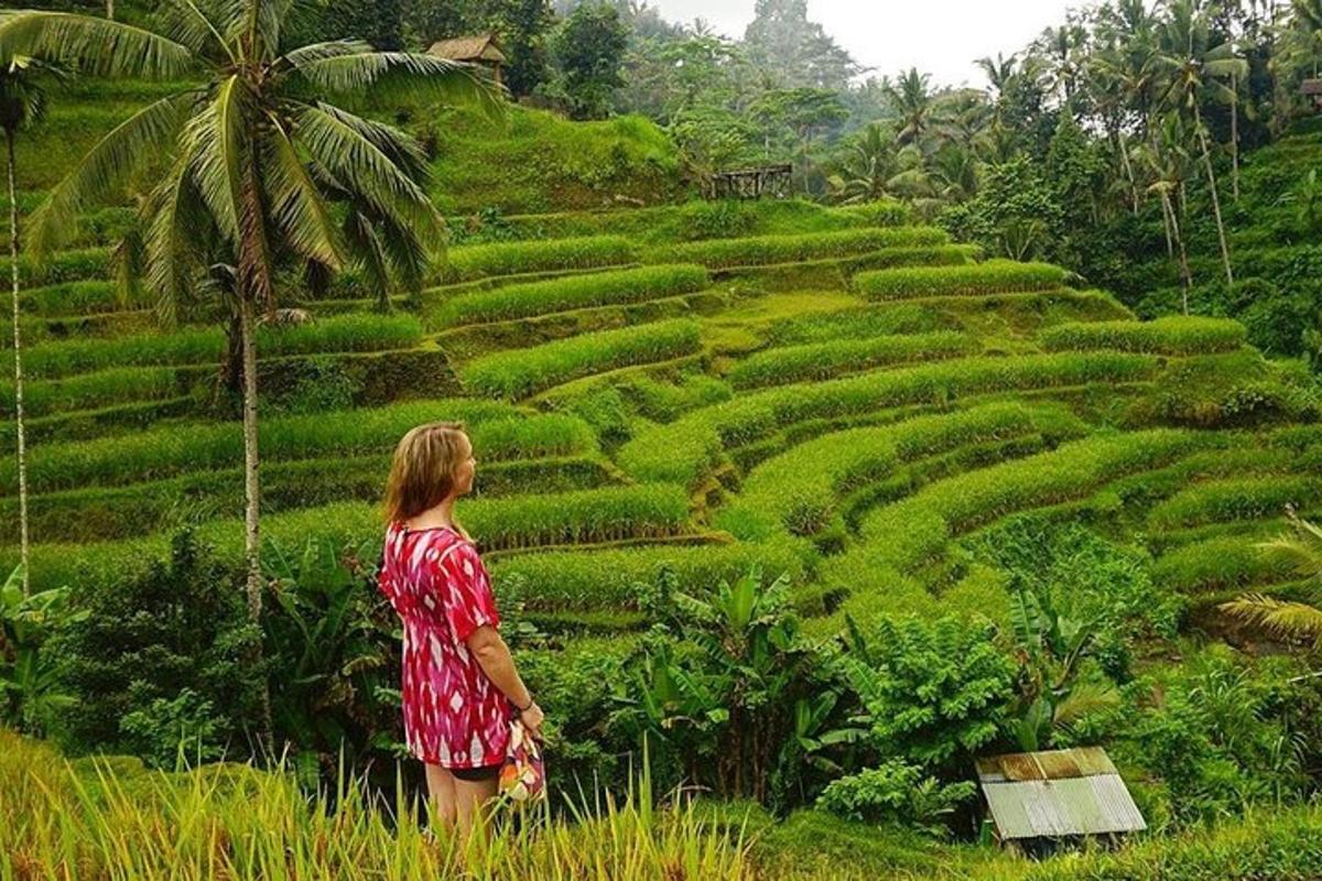 uma mulher em pé em frente a um campo em socalcos