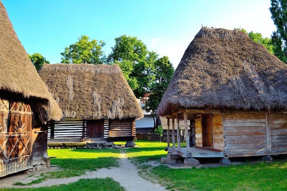 two huts with thatched roofs on the grass