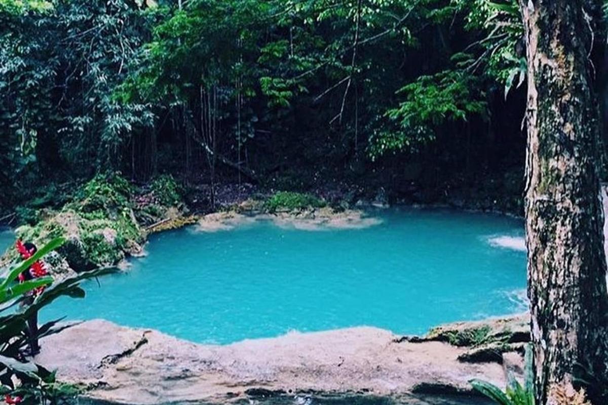 a large blue pool of water in a forest