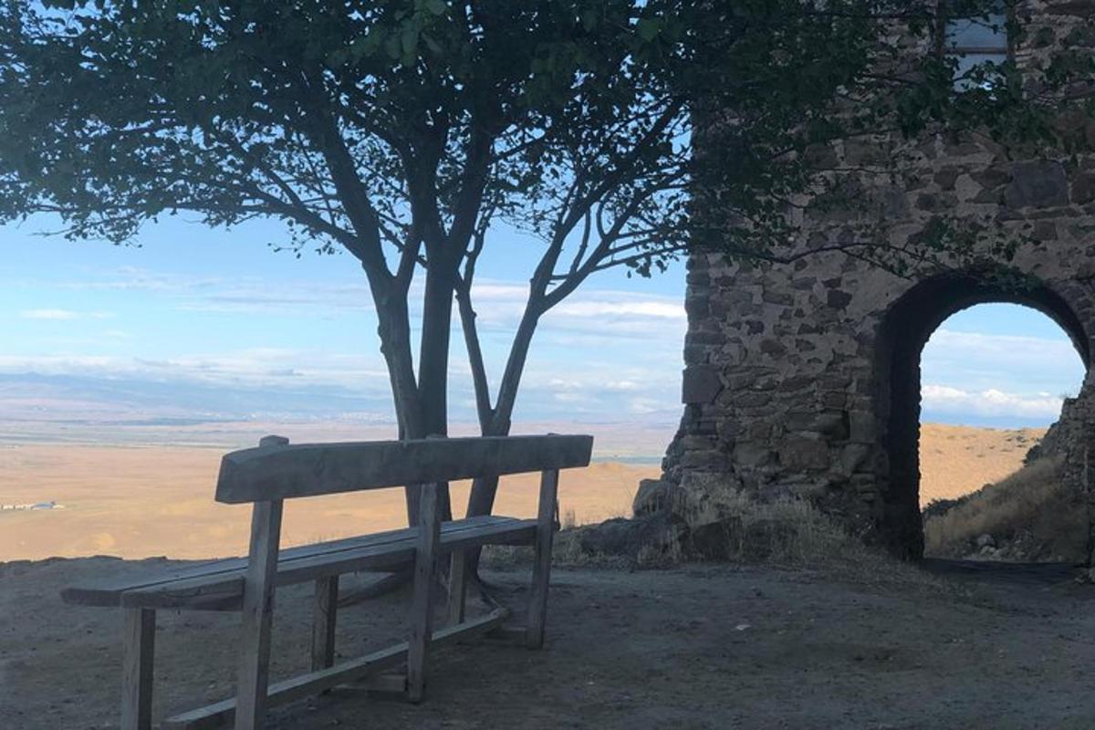 ένα παγκάκι δίπλα σε έναν πέτρινο τοίχο με ένα δέντρο