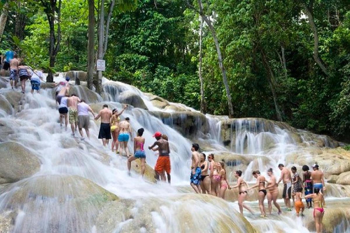 Un grupo de personas de pie frente a una cascada.