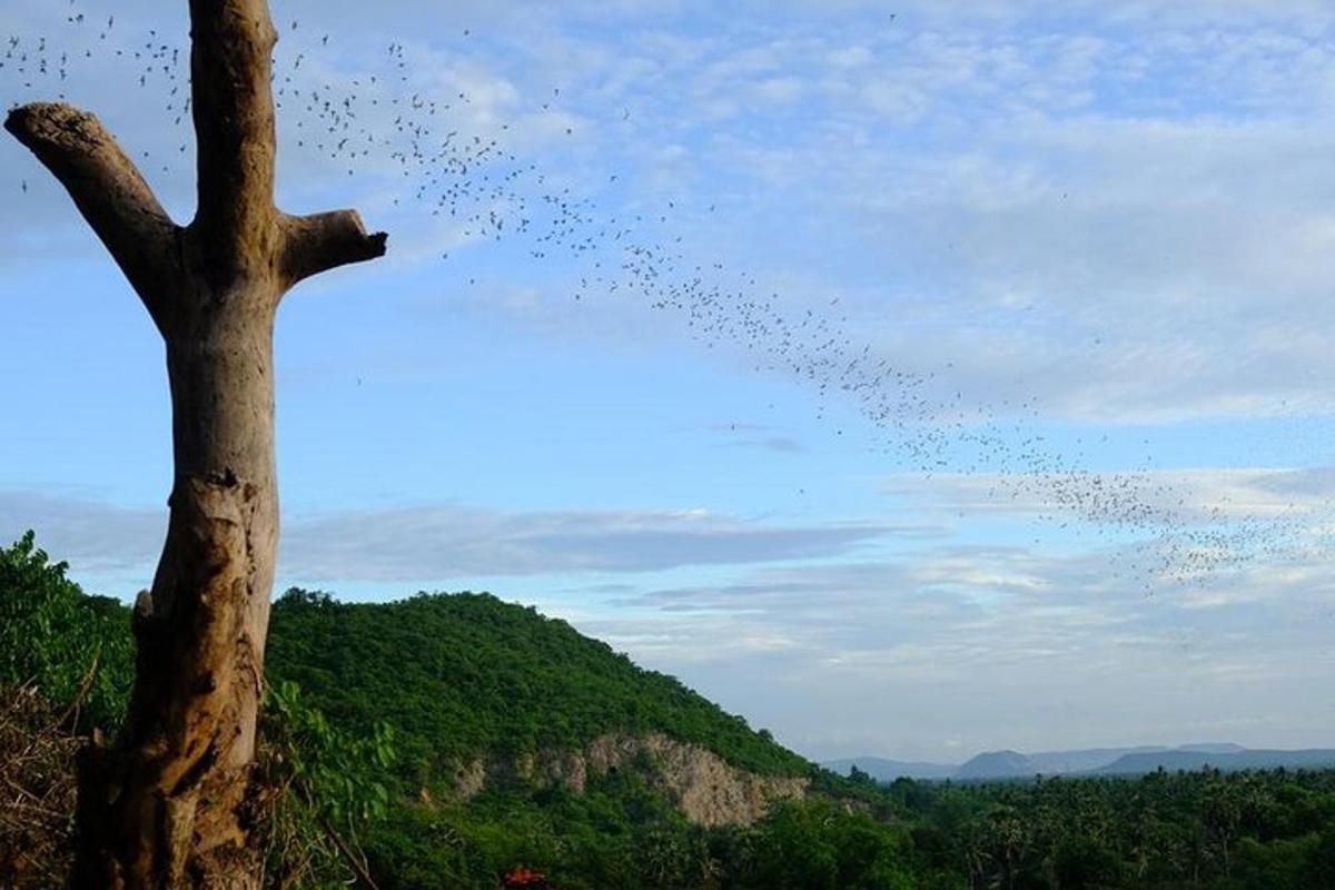sekawan burung terbang mengelilingi pokok