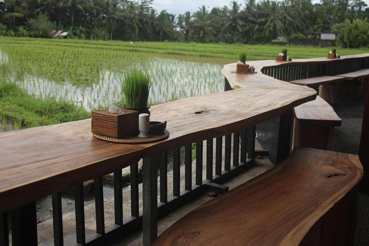 một sàn gỗ có một cây trồng trên đó