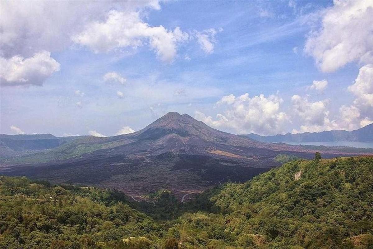 una montagna in mezzo a una valle con alberi
