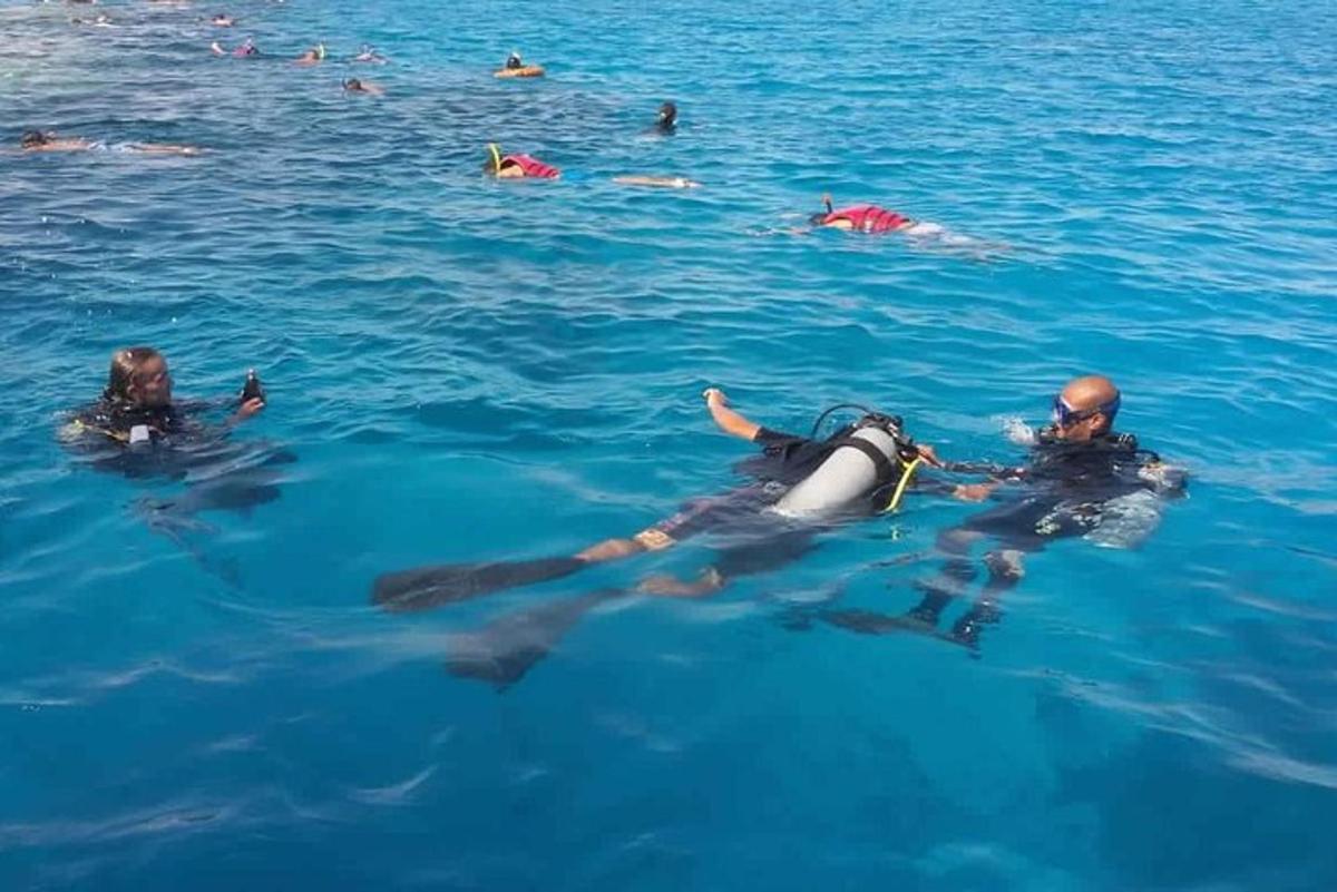 un grupo de personas nadando en el agua