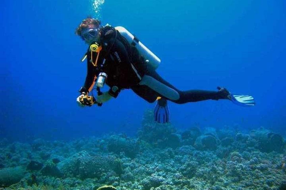 en person dykker i havet