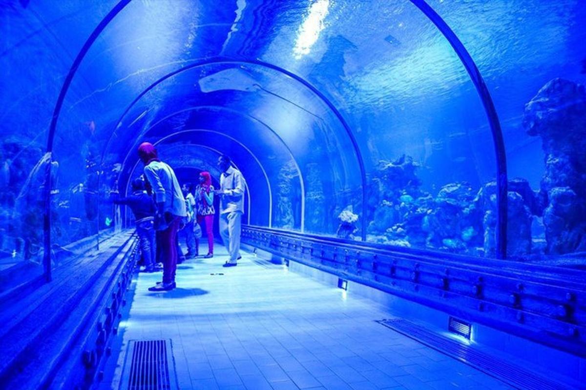 Photo de l’attraction numéro 2.