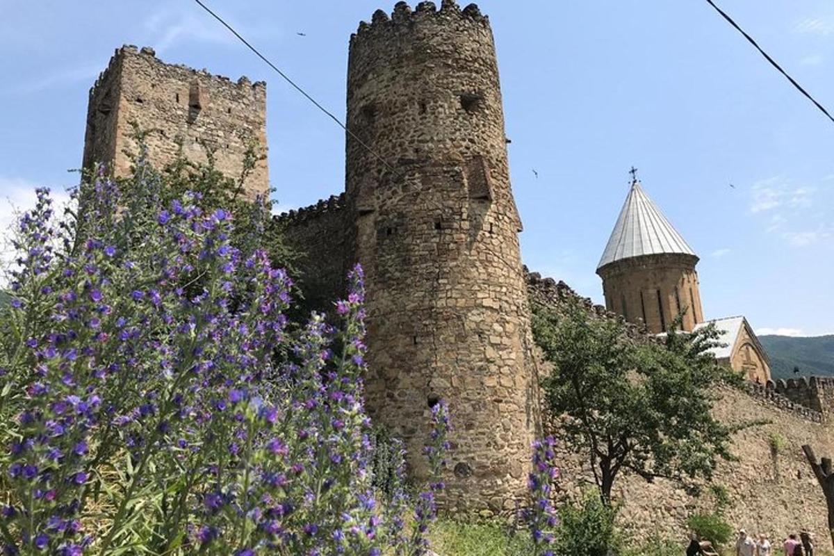 un castello con due torri e fiori viola
