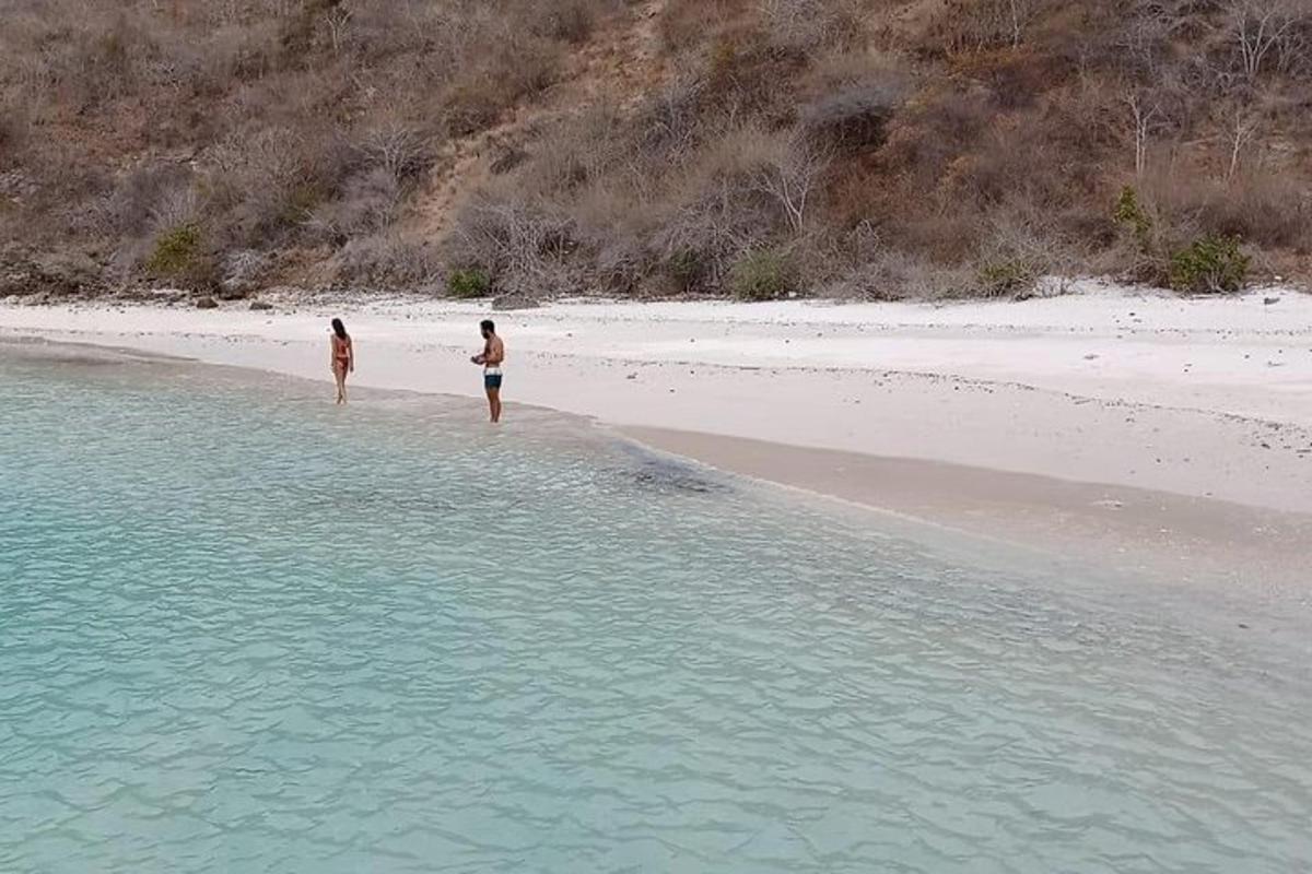 Lankytinos vietos ar pramogos nuotrauka numeris 5