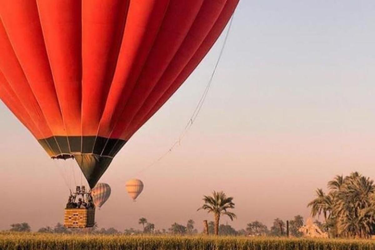 a group of hot air balloons flying over a field
