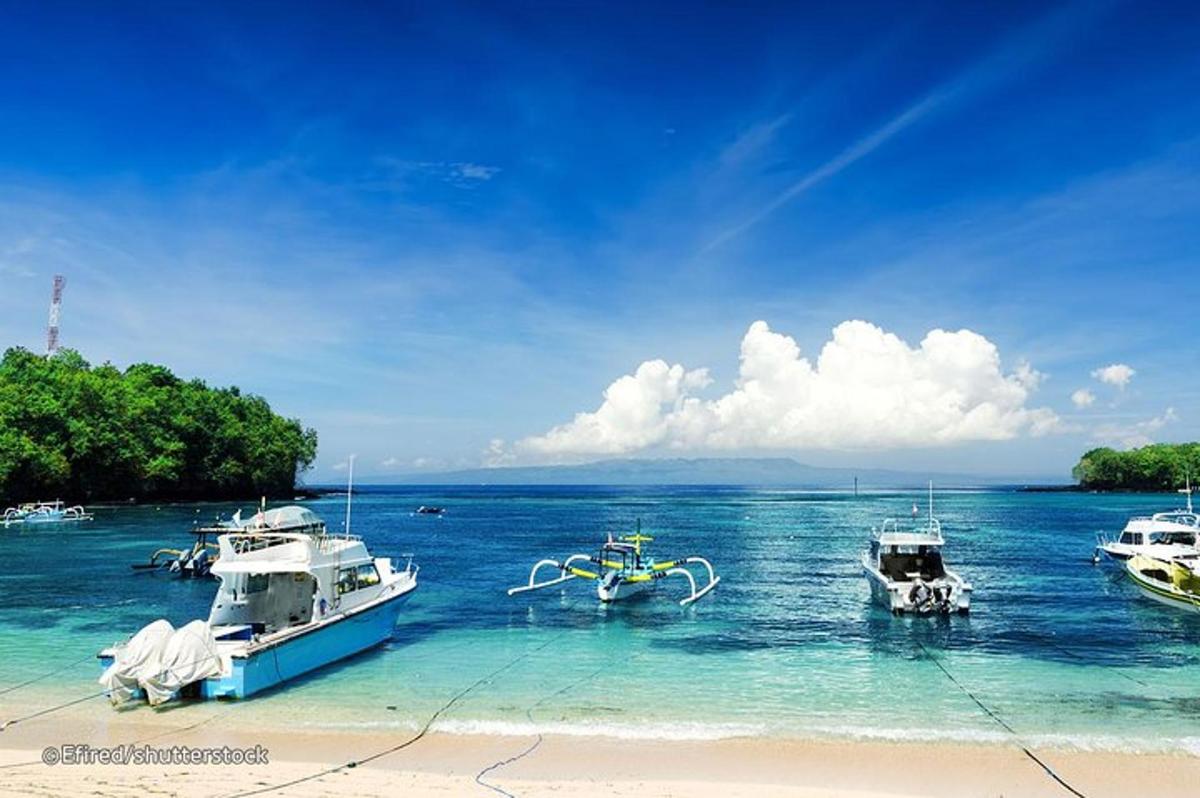 tre barche sono ormeggiate in acqua su una spiaggia