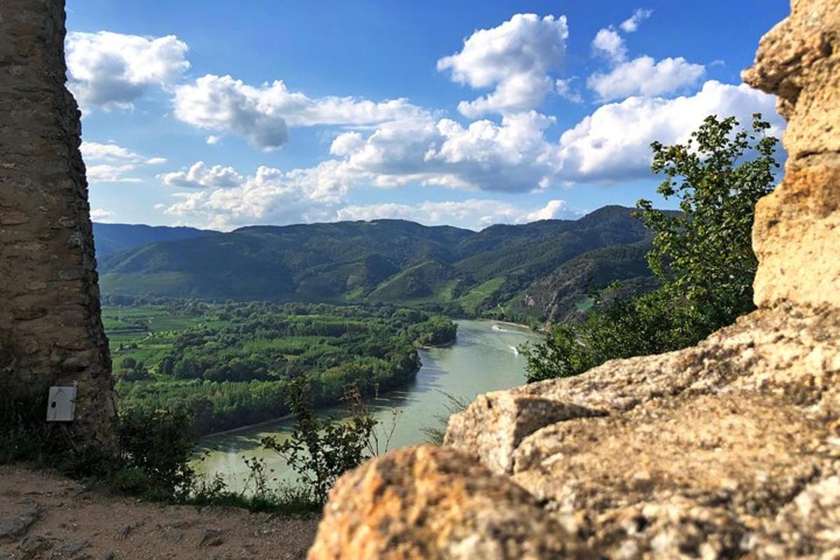 o vedere a unui râu cu munți în fundal