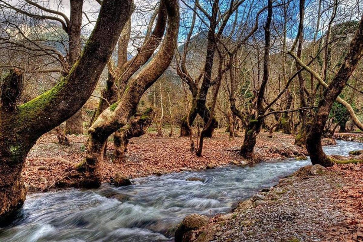 Fotografia 6 a atracției