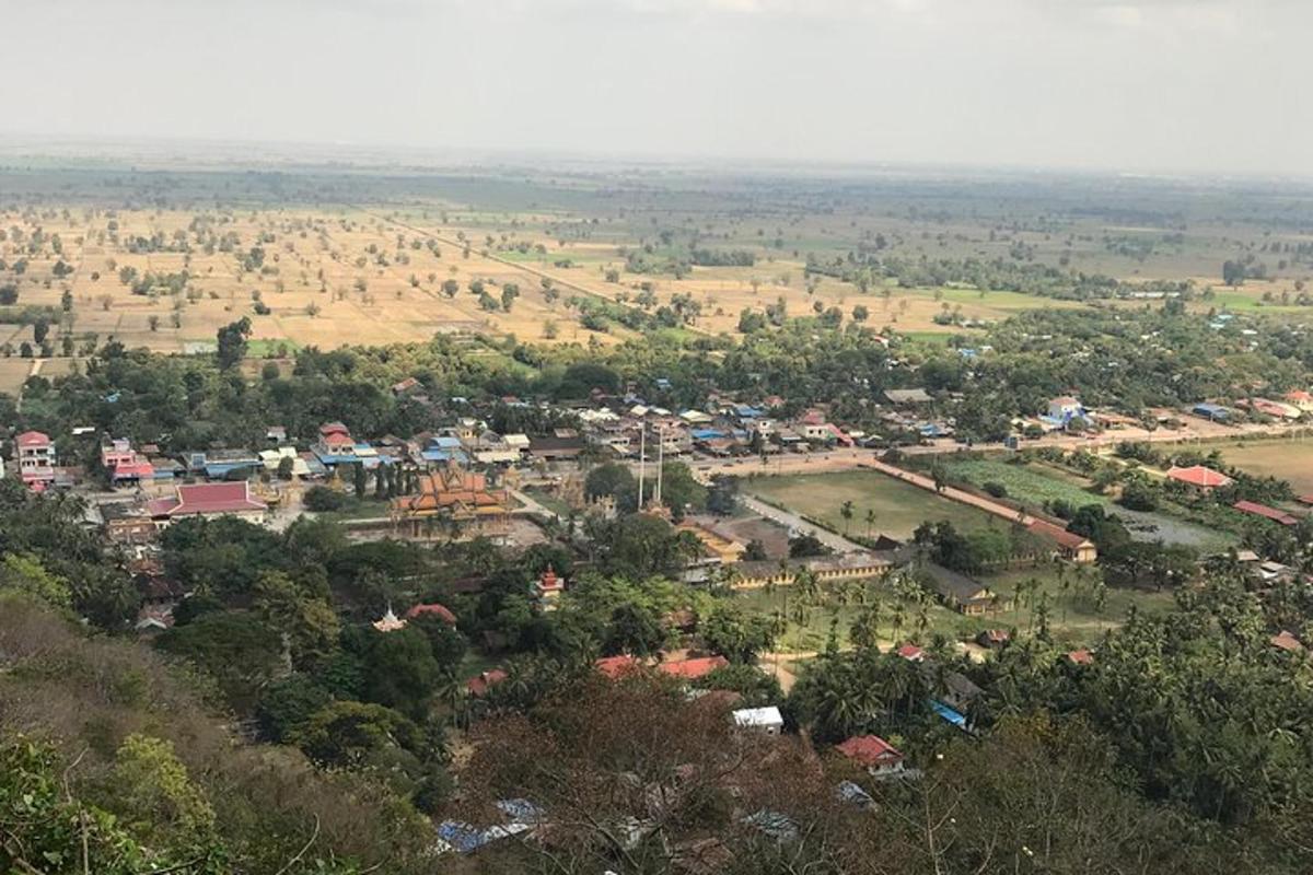 uma vista aérea de uma pequena cidade com árvores e casas