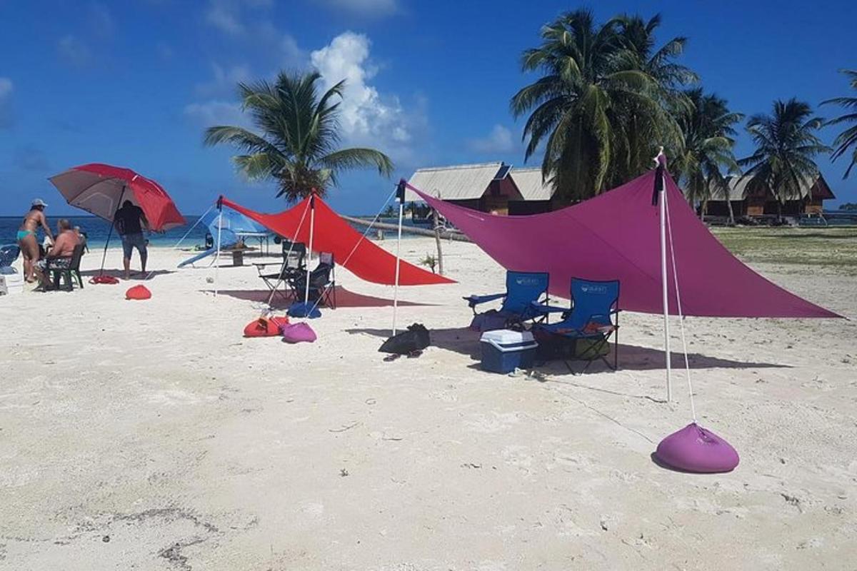 un gruppo di tende su una spiaggia con palme