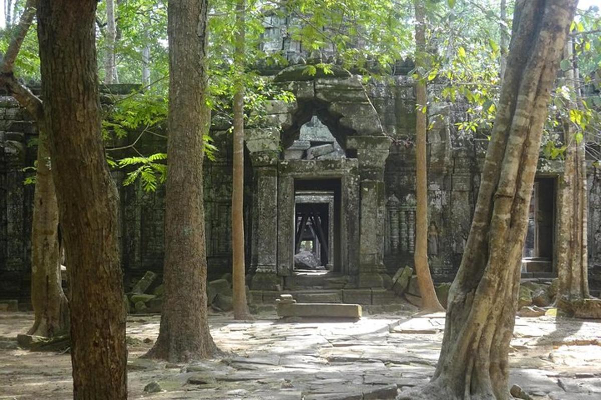 an entrance to a building in a forest of trees