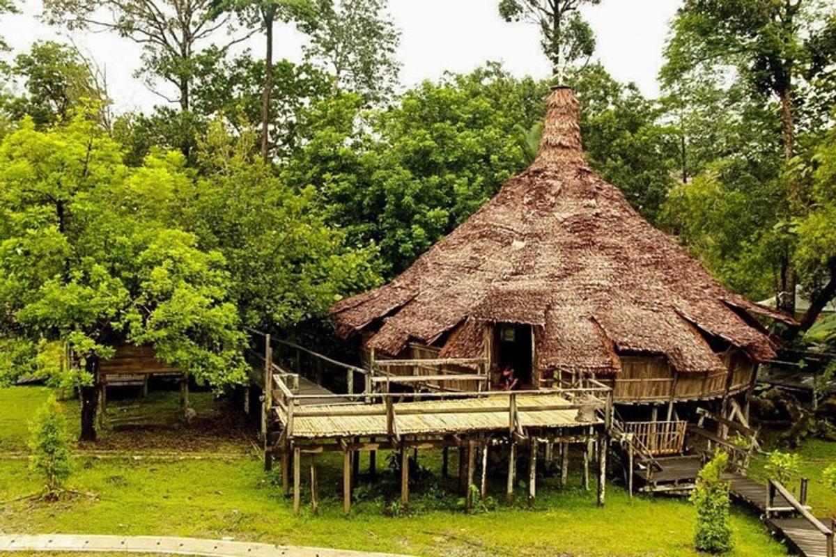 a large hut with a thatched roof in the grass