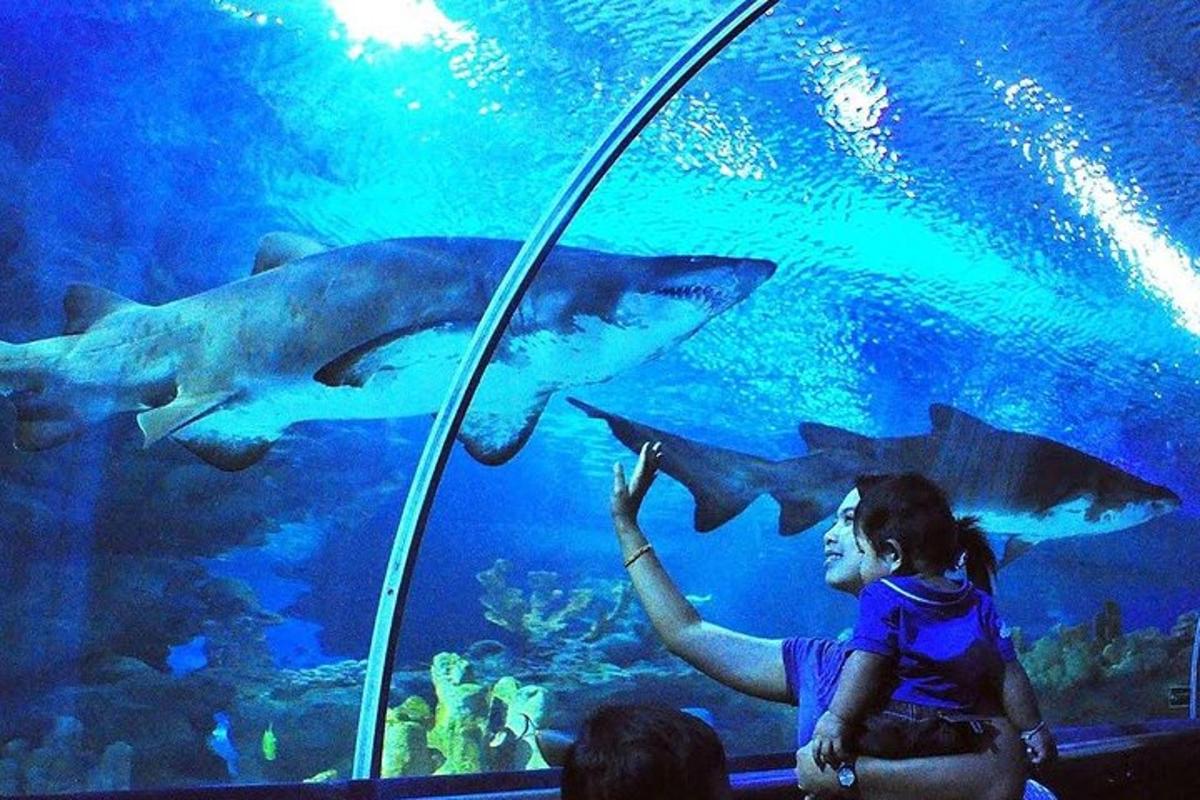 a woman is looking at sharks in an aquarium