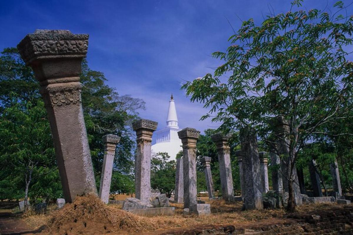 un cementiri amb un edifici blanc al fons