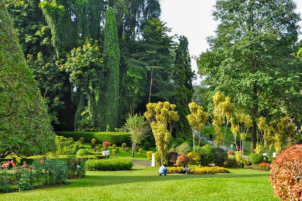 un jardí amb arbres i arbustos i gent asseguda a l'herba