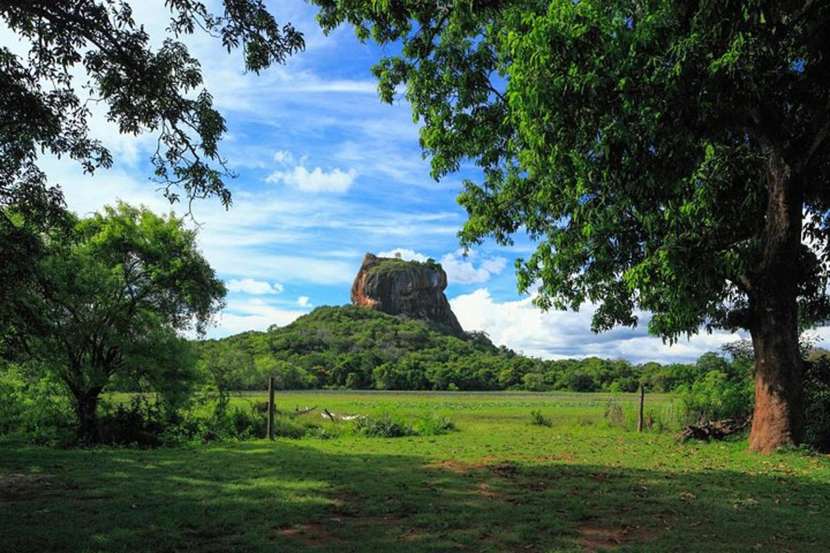 a rock formation in the middle of a field with trees