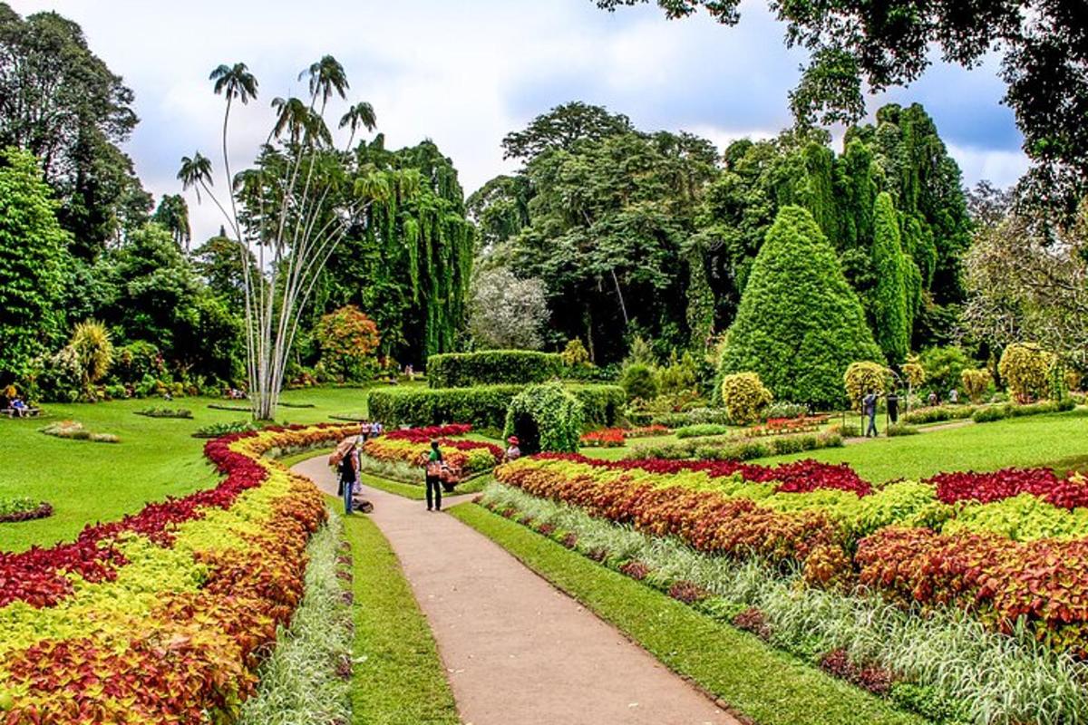 dues persones caminant per un camí en un jardí