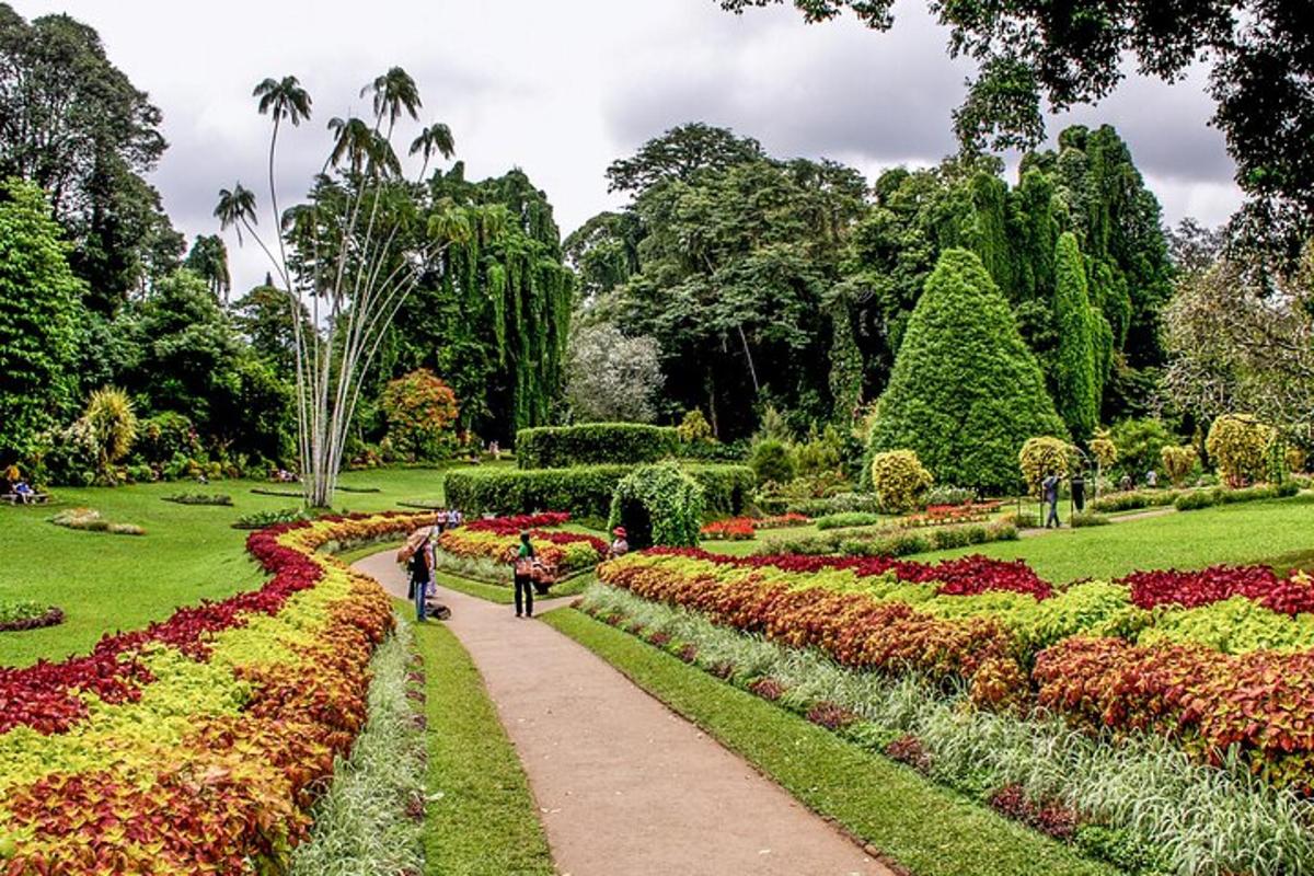 dues persones caminant per un camí a través d'un jardí