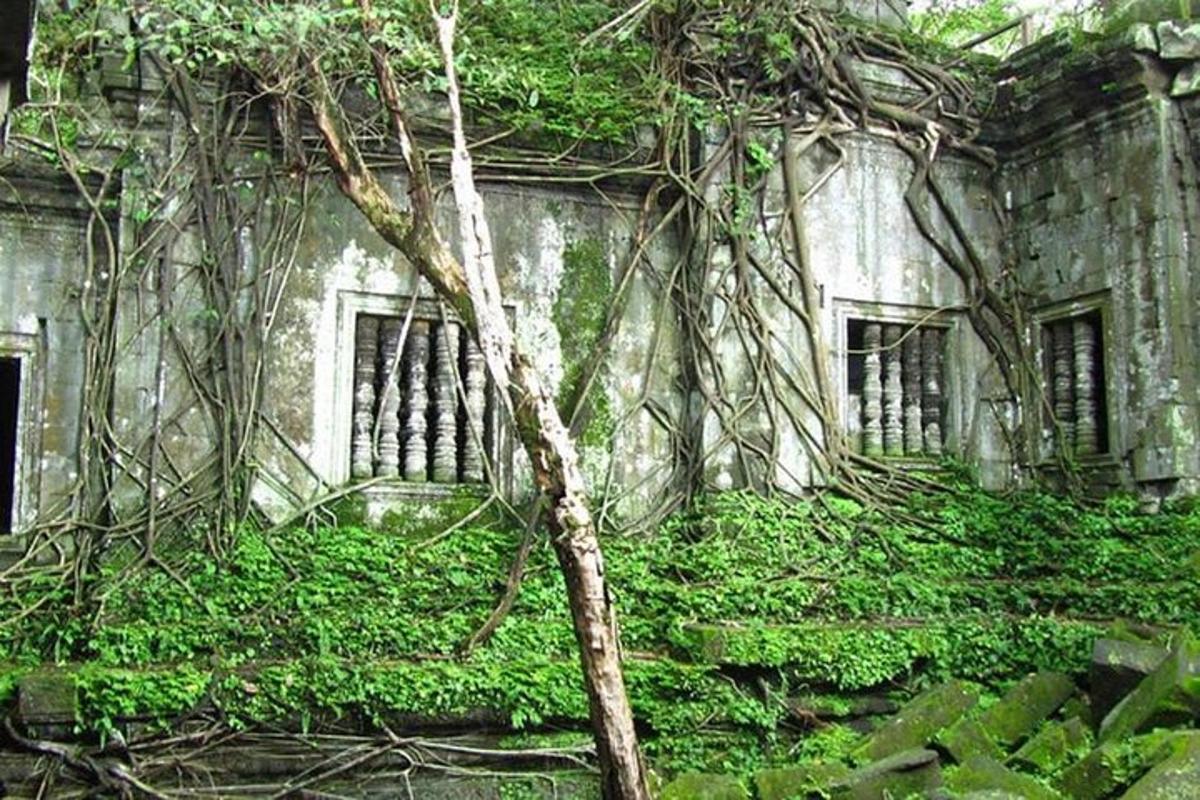 Un edificio antiguo cubierto de hiedra verde con un árbol.