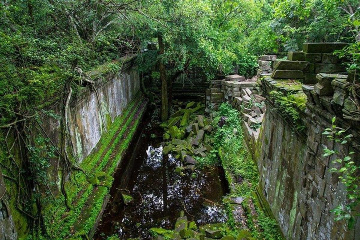 dinding batu di sebelah anak sungai di dalam hutan