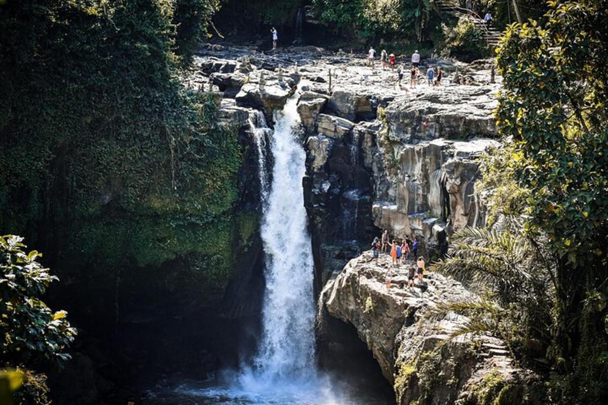 una cascada amb gent dempeus a sobre