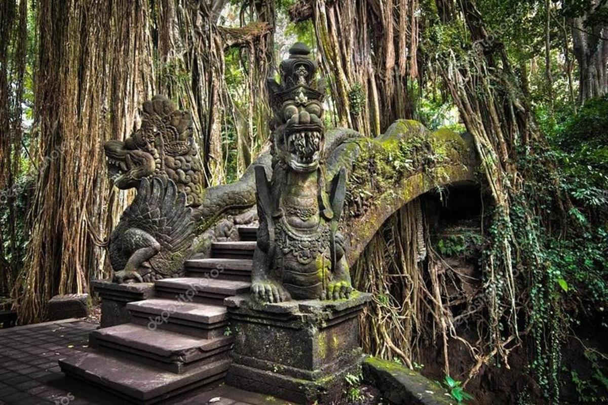 tangga batu di hutan dengan pepohonan