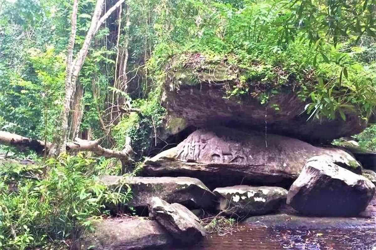 formasi batuan di tengah hutan