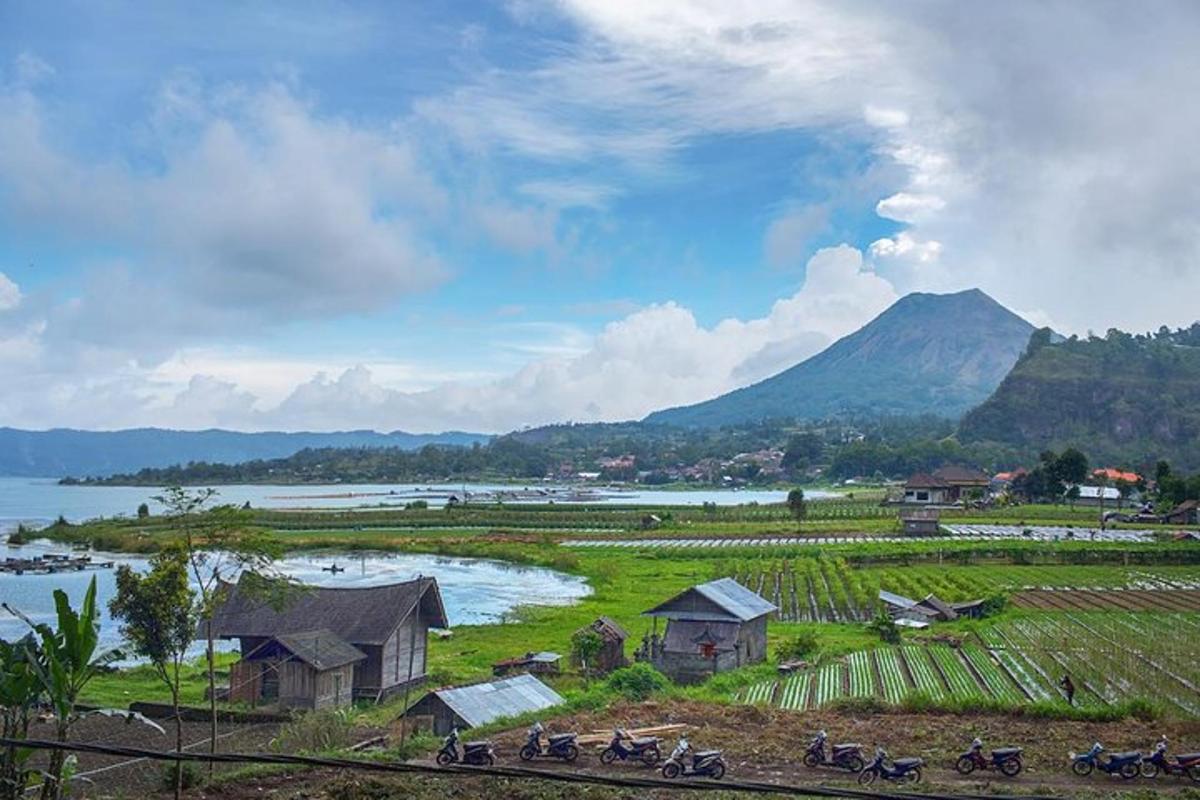 một nhóm xe máy đỗ trên một cánh đồng có núi
