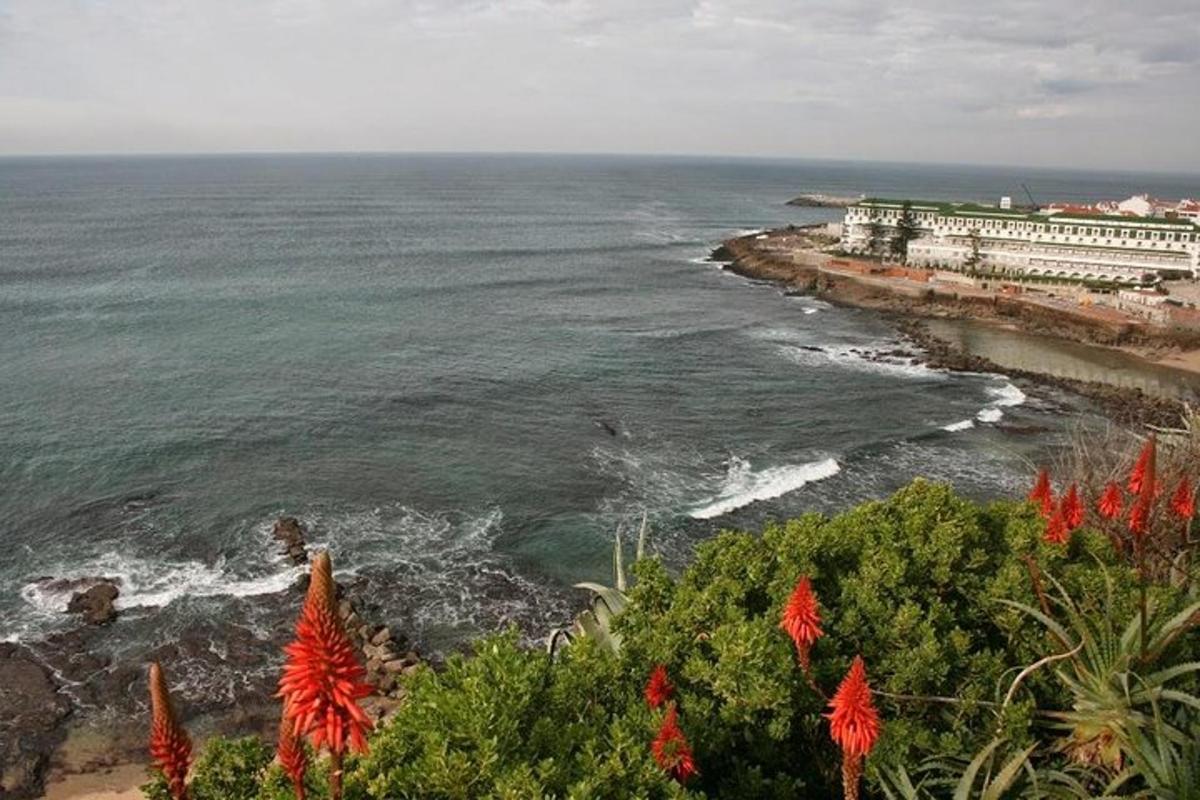 vaade ookeanile, esiplaanil punased lilled