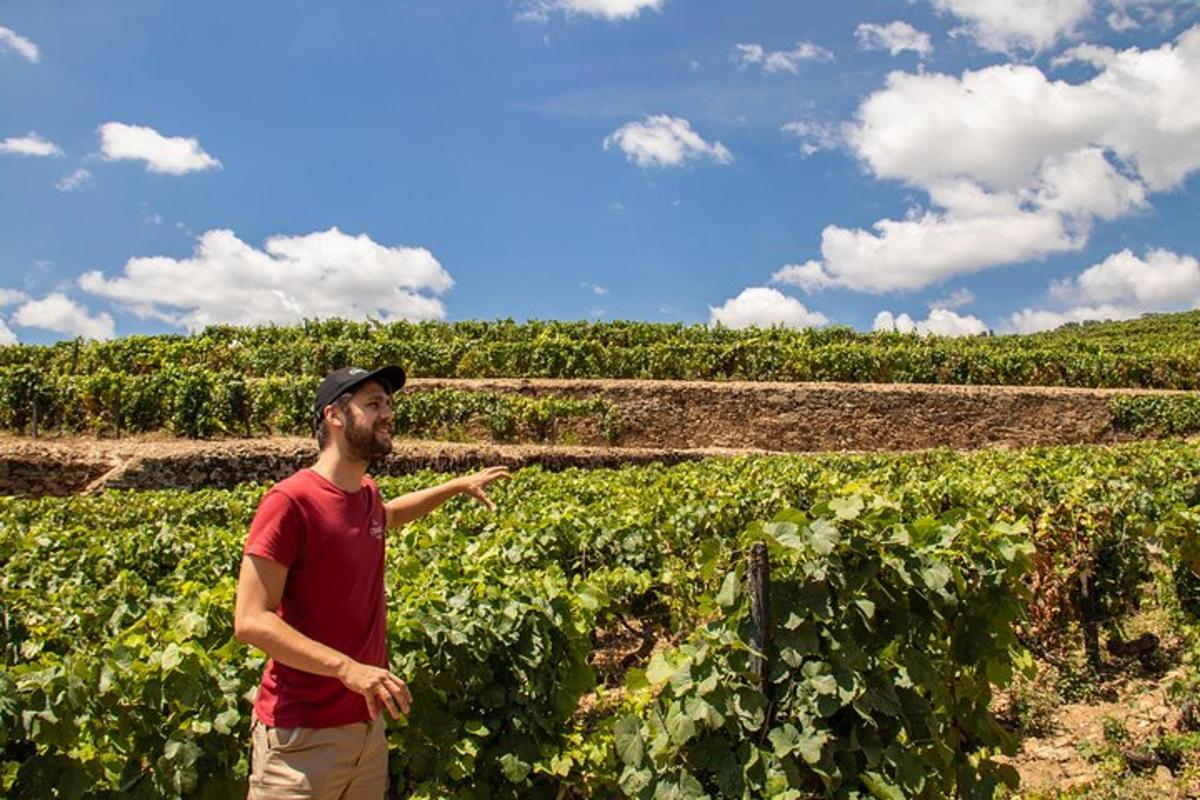 a man standing in front of a field of vines